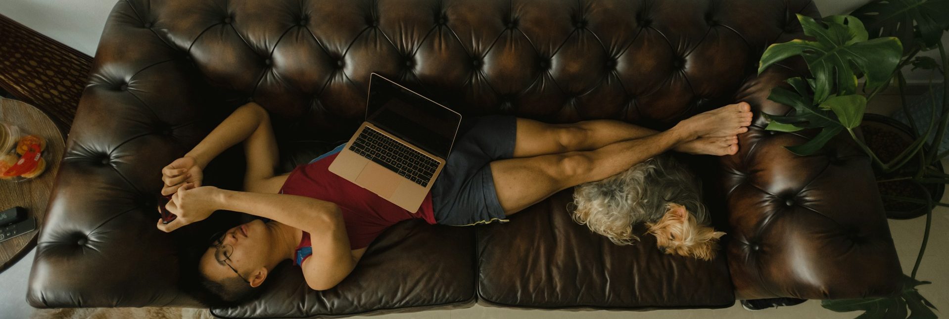 登録不要のビデオチャット交流